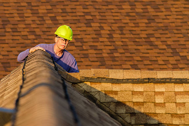 Best Roof Gutter Cleaning  in Winters, TX